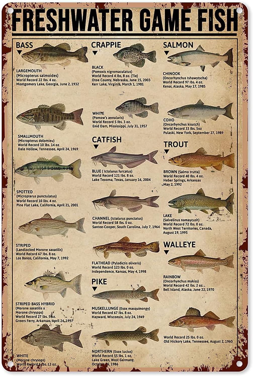 Retro Gaming Pictures - Y1, Poster Seni Memancing, Tanda Logam,